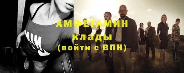 трава Белокуриха