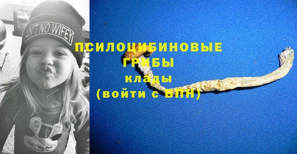 трава Белокуриха