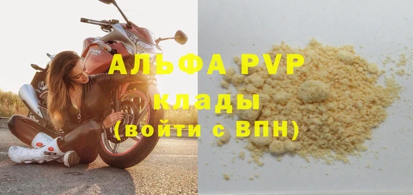 трава Белокуриха